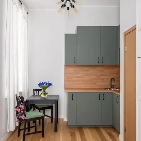 Apartment In The Center Opposite The Park. Riga